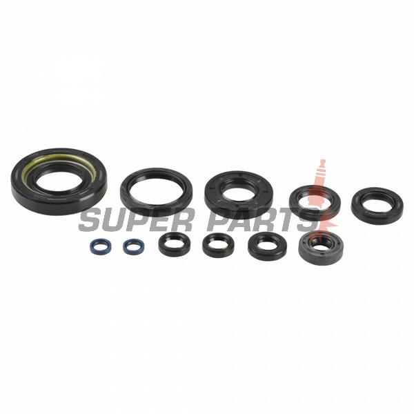 Πλήρες σετ τσιμουχών κινητήρα -ATHENA- Fantic XX 250 2022-2023, Yamaha YZ 250 1992/2001-2022