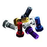 Βίδα banjo -TRW- M10x1.00 (Brembo), μαύρο