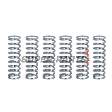 Σετ ελατηρίων συμπλέκτη -FERODO- FSS0203, Yamaha FZ/FZ6/FZR/FZX, TDM/TRX, WR450F, XJ/XJ6 Diversion, XTZ750 Super Tenere, YFZ450, YZ250/450F, YZF750/R6