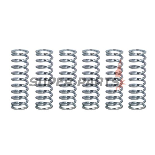 Σετ ελατηρίων συμπλέκτη -FERODO- FSS0203, Yamaha FZ/FZ6/FZR/FZX, TDM/TRX, WR450F, XJ/XJ6 Diversion, XTZ750 Super Tenere, YFZ450, YZ250/450F, YZF750/R6
