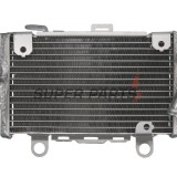 Ψυγείο -4 RIDE- Honda CRF 1000 2016-2019