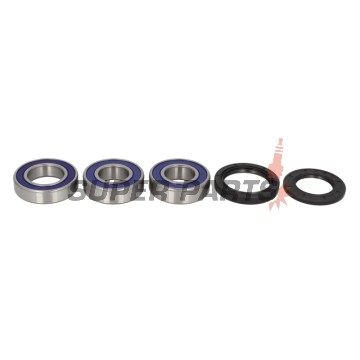 Σετ ρουλεμάν τροχού -ALL BALLS- Kawasaki Z 1000 2003-2009, ZX 750 1991-1995, ZX-10R 1000 2011-2017, ZX-12R 1200 2000-2005, ZX-14R 1400 2006-2017, ZX-6R 600 1998-2002, 2007-2012, ZX-6R 636 2003-2006, 2013-2016, ZX-7R 98 2003