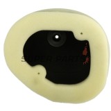 Φίλτρο αέρα -ATHENA- S410250200028, Kawasaki KLX 450 2008-2020