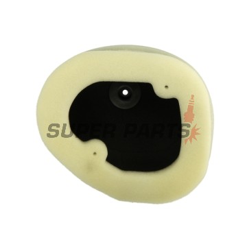 Φίλτρο αέρα -ATHENA- S410250200028, Kawasaki KLX 450 2008-2020