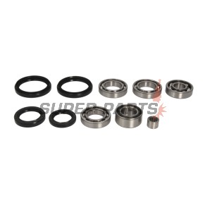 Κιτ επισκευής διαφορικού -ALL BALLS- Arctic Cat 300 2004, 366 2008-2011, 400 2004-2008, 2010-2014, 450 2010-2012, 500 2004-2009, 2013-2014, 550 2009-2014, 650 2004-2012, 686 2010, 700 2006-2015, Prowler 700 2008-2014