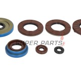 Σετ τσιμουχών κινητήρα -WINDEROSA- Polaris ACE 325 2014-2016, Polaris Hawkeye 325 2015, Polaris Ranger 325 2015-2016, Polaris Sportsman 325 2015