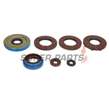 Σετ τσιμουχών κινητήρα -WINDEROSA- Polaris ACE 325 2014-2016, Polaris Hawkeye 325 2015, Polaris Ranger 325 2015-2016, Polaris Sportsman 325 2015