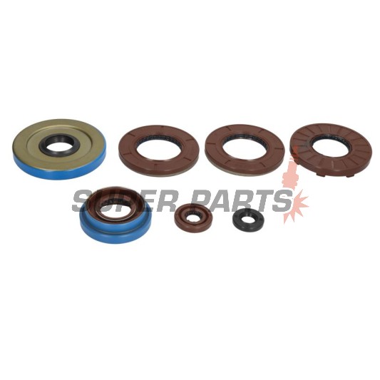 Σετ τσιμουχών κινητήρα -WINDEROSA- Polaris ACE 325 2014-2016, Polaris Hawkeye 325 2015, Polaris Ranger 325 2015-2016, Polaris Sportsman 325 2015