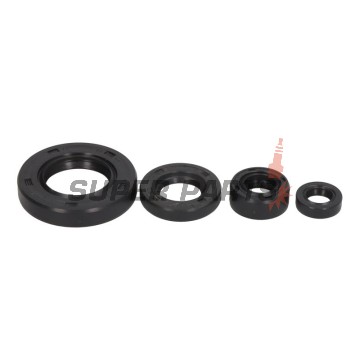 Σετ τσιμουχών κινητήρα -WINDEROSA- Suzuki DR 650 1996-2024