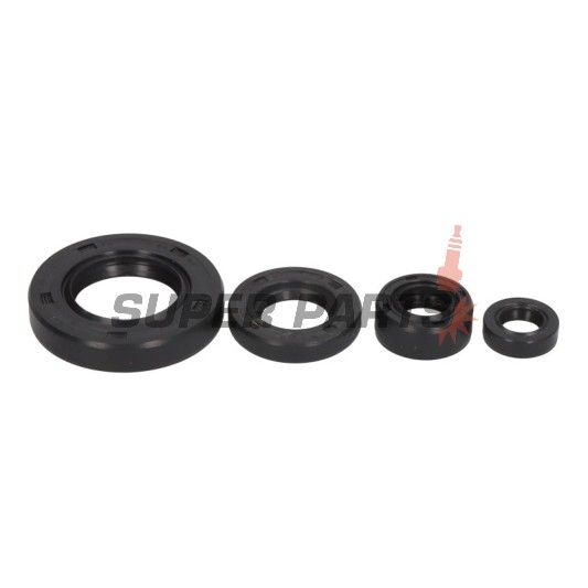 Σετ τσιμουχών κινητήρα -WINDEROSA- Suzuki DR 650 1996-2024