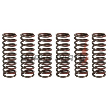 Σετ ελατηρίων συμπλέκτη -TRW- MEF334-6, Suzuki DL650A V-Strom ABS (2012-2021)
