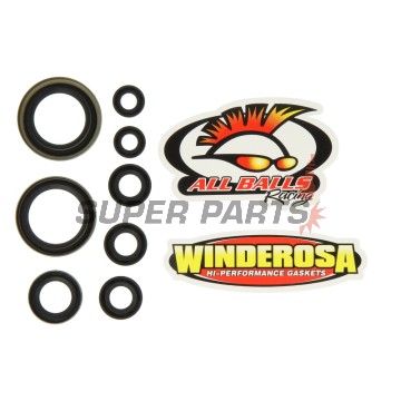 Σετ τσιμουχών κινητήρα -WINDEROSA- KTM EXC 250 2002-2005, KTM EXC 400 2000-2006, KTM EXC 450 2003-2007, KTM EXC 520 2000-2002, KTM EXC 525 2003-2007, KTM EXC-G 250 2002, 2004-2005, KTM EXC-G 250Racing 2003
