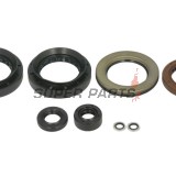 Σετ τσιμουχών κινητήρα -WINDEROSA- Arctic Cat Arctic Cat 500 2013-2014, Arctic Cat TRV 500 2013-2014