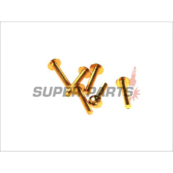 Σετ βιδών -VICMA- M5x30, χρυσά, 6τεμ.