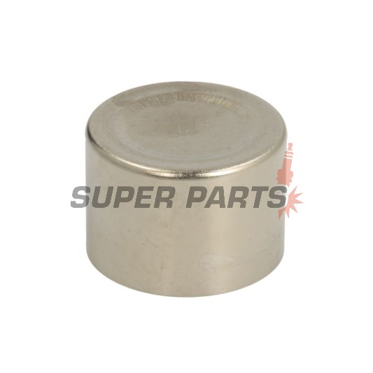 Έμβολο δαγκάνας φρένου -TOURMAX- Yamaha FZR 1000 1989-1993, Yamaha FZR 600 1990-1992, 1994-1997, Yamaha TDM 850 1996-1999, Yamaha VMX-12 1200 1993-1997