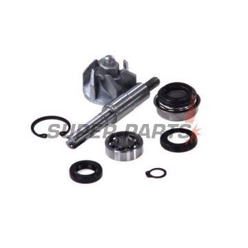 Κιτ επισκευής αντλίας νερού -VICMA- Honda FES Pantheon 125 2T/4T, NES 125, SES Dylan 125, SH 125/125i, 1998-2007