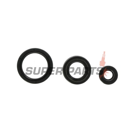 Σετ τσιμουχών κινητήρα -ATHENA- Husqvarna TC 250 2010-2014, TE 250 2010-2014, TE 310 2011-2014, TXC 250/310 2010-2014