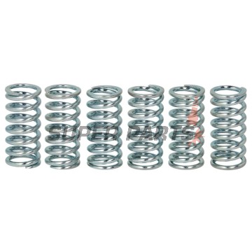 Σετ ελατηρίων συμπλέκτη -TRW- MEF158-6, KTM EXC/SX/XC 150/200, SX-F/XC-F 250/350 (1998-2018), Suzuki RM125/250 (1996-2000), Yamaha XV535 Virago & XVS650 Drag Star (1988-2007)