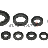 Σετ τσιμουχών κινητήρα -WINDEROSA- Honda TRX 250 2001-2021