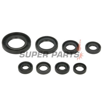 Σετ τσιμουχών κινητήρα -WINDEROSA- Honda TRX 250 2001-2021