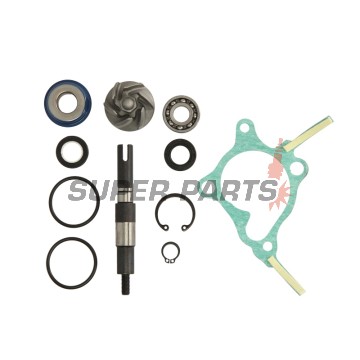 Κιτ επισκευής αντλίας νερού -RMS- Honda FES 250 1998