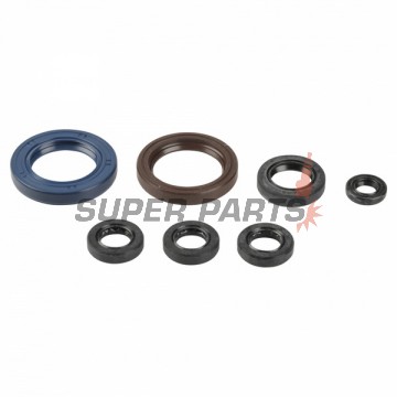 Πλήρες σετ τσιμουχών κινητήρα -ATHENA- Beta RR 400/450/525 2005-2009, KTM EXC 400 2000-2006, EXC 520 2000-2002, EXC 250/450/525 2003-2006, EXC-G 250 Racing 2003, EXC-G 450/525 2003-2006, EXC-G 250/400 2004-2005
