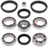 Κιτ επισκευής διαφορικού -ALL BALLS- Arctic Cat 300 2004, 366 2008-2011, 400 2004-2008, 2010-2014, 450 2010-2012, 500 2004-2009, 2013-2014, 550 2009-2014, 650 2004-2012, 686 2010, 700 2006-2015, Prowler 700 2008-2014