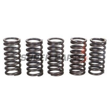 Σετ ελατηρίων συμπλέκτη -TRW- MEF121-5, Husqvarna SM610/610S/610E/610ie/R (1999-2010); Suzuki GZ250 Marauder, VL250 Intruder (1999-2008); Triumph Adventurer 900, Daytona 750/900, Legend 900TT, Sprint 900/ST/FT, Street Triple 900, Thunderbird 900, Tige