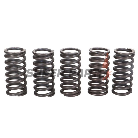 Σετ ελατηρίων συμπλέκτη -TRW- MEF121-5, Husqvarna SM610/610S/610E/610ie/R (1999-2010); Suzuki GZ250 Marauder, VL250 Intruder (1999-2008); Triumph Adventurer 900, Daytona 750/900, Legend 900TT, Sprint 900/ST/FT, Street Triple 900, Thunderbird 900, Tige