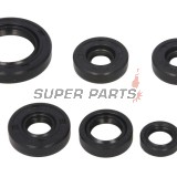 Σετ τσιμουχών κινητήρα -WINDEROSA- Can-Am DS 650 2000-2007