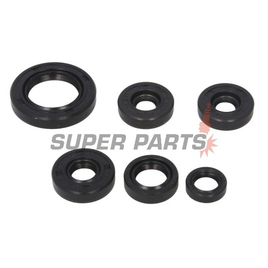 Σετ τσιμουχών κινητήρα -WINDEROSA- Can-Am DS 650 2000-2007