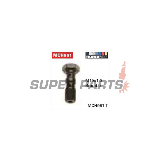 Βίδα banjo -TRW- διπλό, M10x1.00 (Brembo), Μπλε