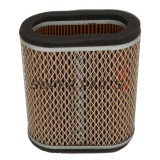 Φίλτρο αέρα -HIFLO FILTRO- HFA2405, Kawasaki KAF450 B1