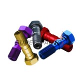 Βίδα banjo -TRW- M10x1.00 (Brembo), χρυσό