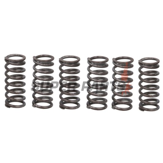 Σετ ελατηρίων συμπλέκτη -TRW- MEF325-6, Yamaha YZF-R1 1000 (2006-2014)