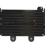 Ψυγείο -4 RIDE- Suzuki GSF 600 1995-2004, Suzuki GSF 650 2005-2006