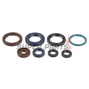 Σετ τσιμουχών κινητήρα -ATHENA- KTM EXC-F 250 2005-2018, SX-F 250 2006-2012, XC-F 250 2007-2012, XCF-W 250 2006-2013