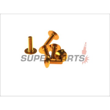 Σετ βιδών -VICMA- M6x20, χρυσά, 6τεμ.