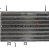 Ψυγείο -4 RIDE- Suzuki SFV 650 2009-2016