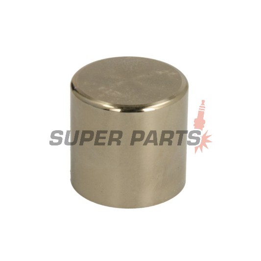 Έμβολο δαγκάνας φρένου -TOURMAX- Kawasaki EX 650 2008, Kawasaki KLE 650 2008, Kawasaki VN 1500 1996-1998, 2008, Kawasaki VN 800 1996-2006, Kawasaki VN 1600 2006
