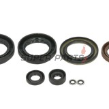 Σετ τσιμουχών κινητήρα -WINDEROSA- Arctic Cat Arctic Cat 500 2013-2014, Arctic Cat TRV 500 2013-2014