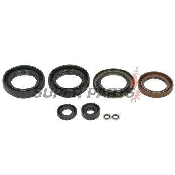 Σετ τσιμουχών κινητήρα -WINDEROSA- Arctic Cat Arctic Cat 500 2013-2014, Arctic Cat TRV 500 2013-2014