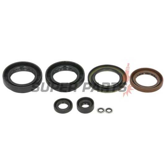 Σετ τσιμουχών κινητήρα -WINDEROSA- Arctic Cat Arctic Cat 500 2013-2014, Arctic Cat TRV 500 2013-2014