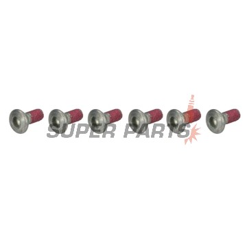 Βίδες δίσκου φρένου -TRW- MSS111-6, M6x1.25mm, 17mm, 6τεμ.