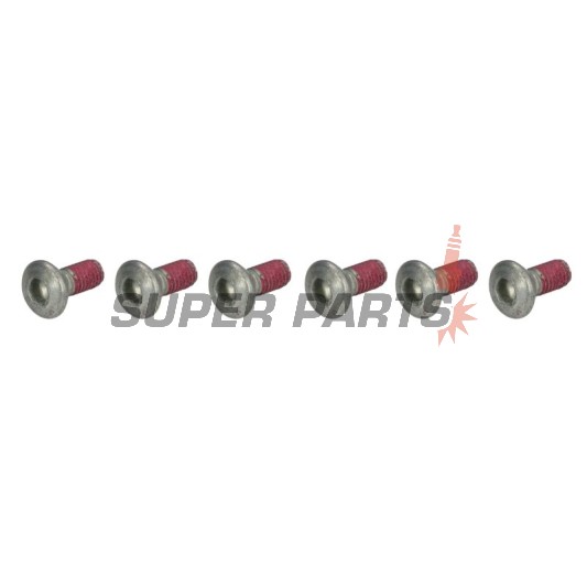 Βίδες δίσκου φρένου -TRW- MSS111-6, M6x1.25mm, 17mm, 6τεμ.