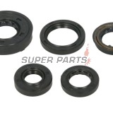 Σετ τσιμουχών κινητήρα -WINDEROSA- Polaris Predator 90 2005-2006, Polaris Sportsman 90 2005-2006