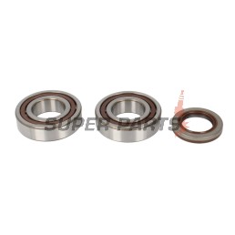 Σετ ρουλεμάν και τσιμουχών στροφάλου -ALL BALLS- KTM EXC 400 2000-2002, 2005-2006, EXC 450/525 2003-2007, EXC 520 2000-2002, EXC-G 250 2002-2005, EXC-G 400 2004-2006, EXC-G 450 2003-2007, MXC 400/520 2001-2002, MXC 450 2004-2005, 2007, SMR 525 2005