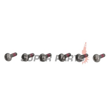 Βίδες δίσκου φρένου -TRW- MSS120-6, M6x1.00 - 23mm, 6τεμ.