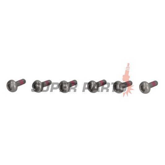 Βίδες δίσκου φρένου -TRW- MSS120-6, M6x1.00 - 23mm, 6τεμ.