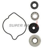 Κιτ επισκευής αντλίας νερού -HOT RODS- Honda CRF 450 R (09-16)
